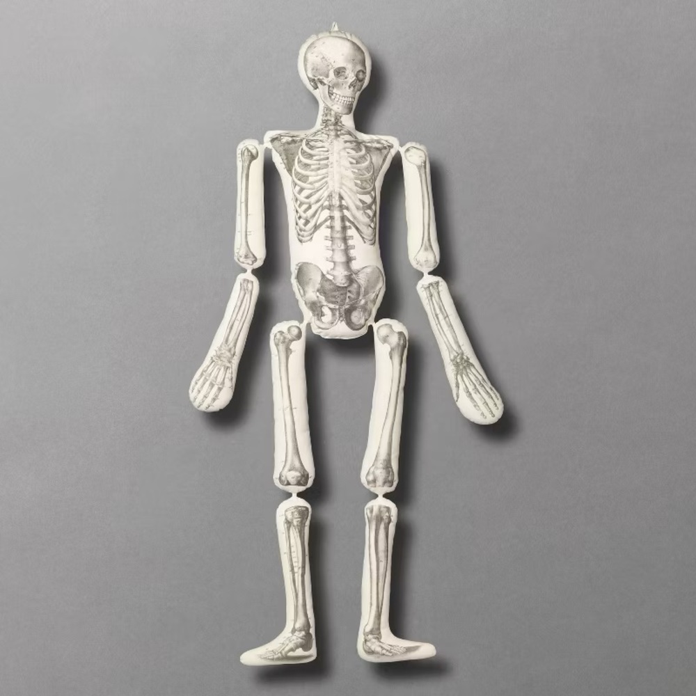63"x15" Articulated Skeleton Novelty Plush Pillow Cream - John Derian For Target